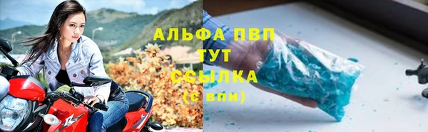 прущий лед Лагань