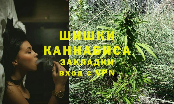 хмурый Ладушкин