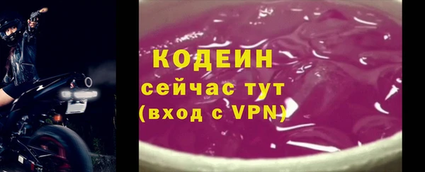 хмурый Ладушкин