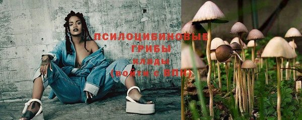 хмурый Ладушкин