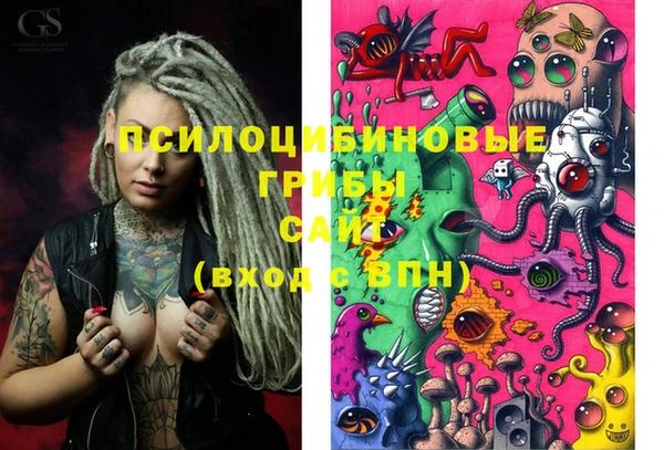 хмурый Ладушкин