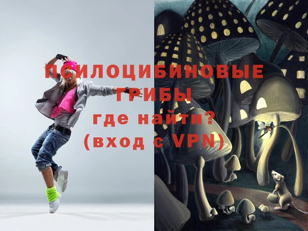 хмурый Ладушкин