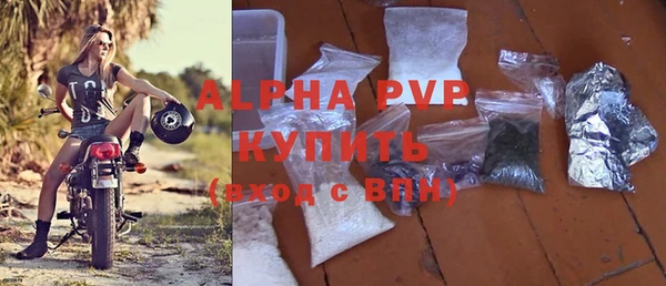 хмурый Ладушкин