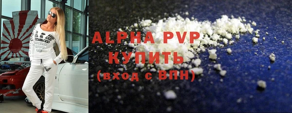 хмурый Ладушкин