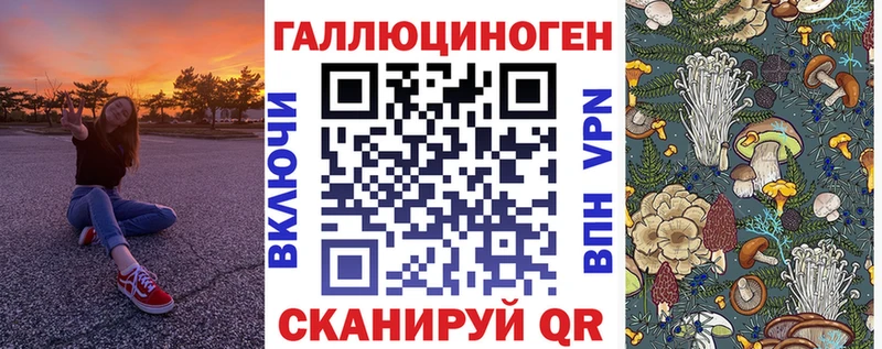 купить наркоту  Магнитогорск  KRAKEN ССЫЛКА  Псилоцибиновые грибы Psilocybine cubensis 
